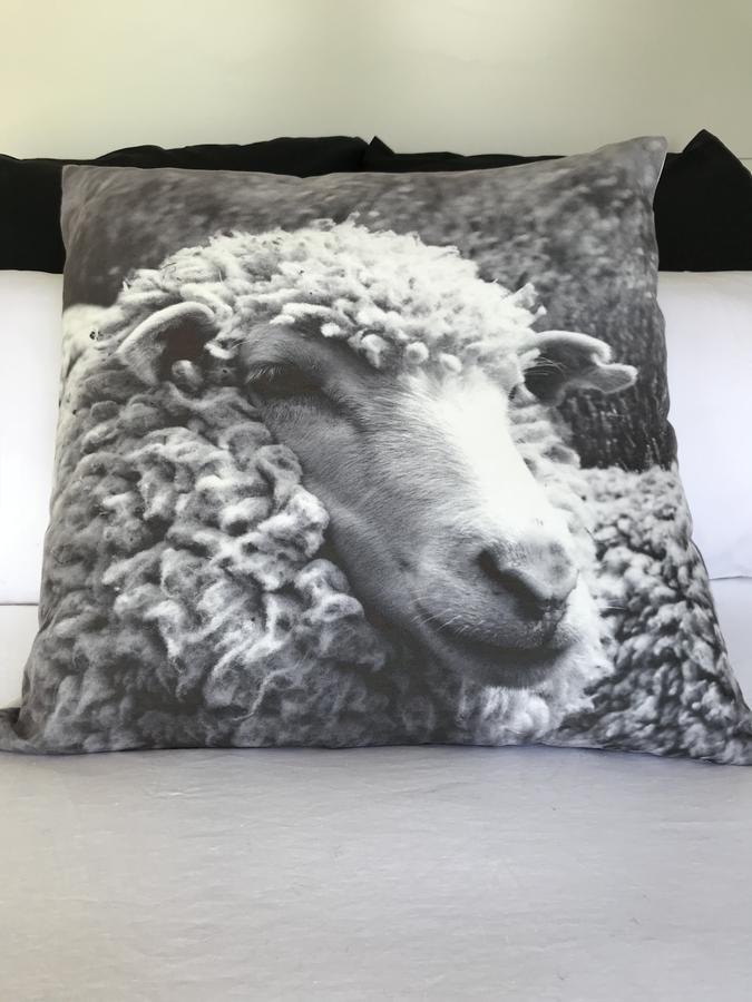 40 Winks Bed & Breakfast Otorohanga Exterior foto